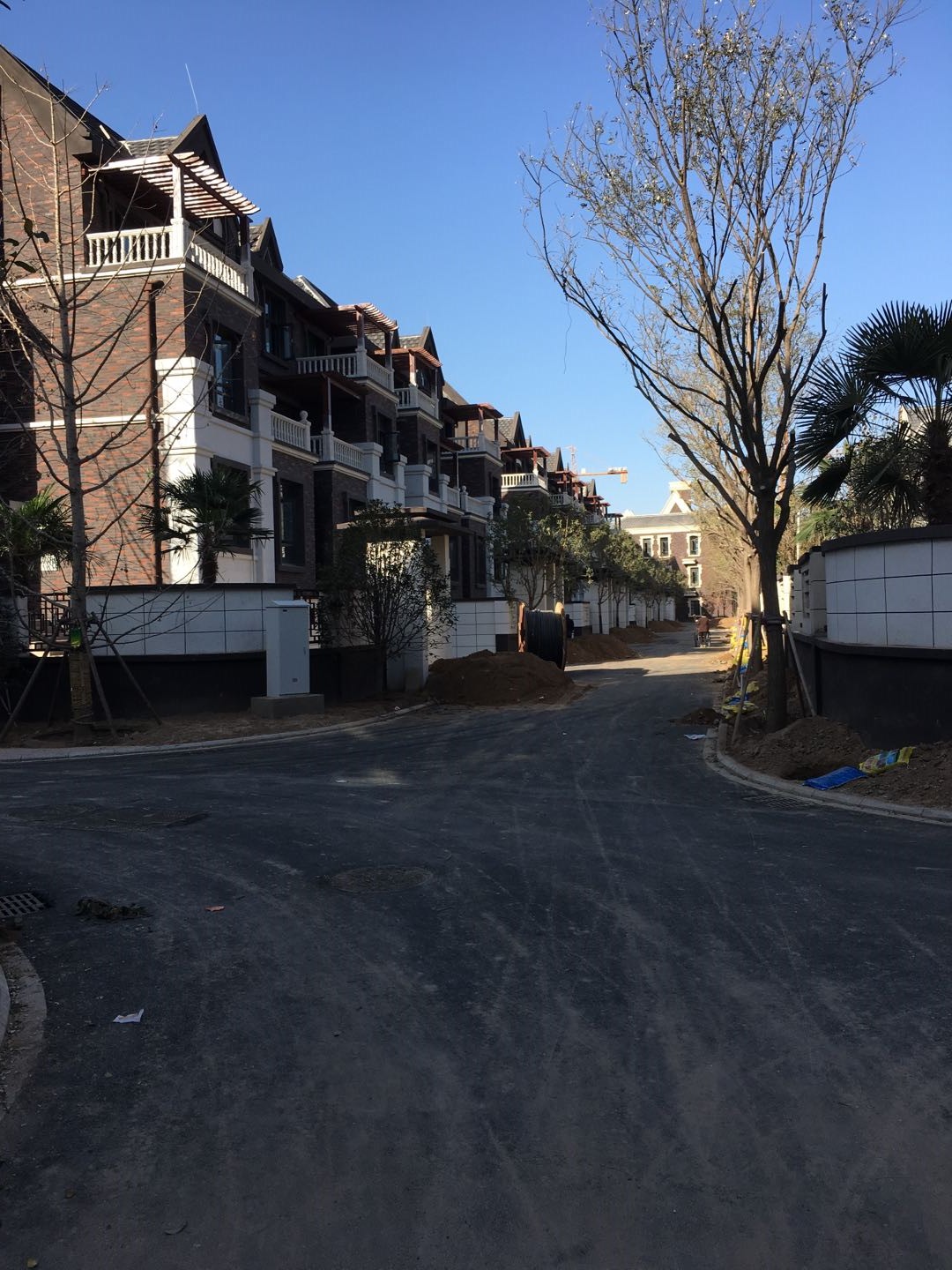 開封蘭考永旺城私家別墅泳池在建